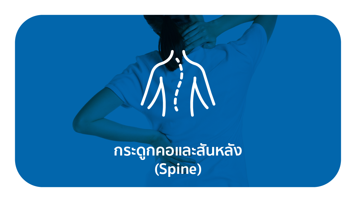 ให้บริการดูแลปัญหากระดูกสันหลังในทุกเพศทุกวัย เช่น อาการปวดหลัง ปวดต้นคอ ความผิดปกติทางด้านกระดูกสันหลัง ไขสันหลัง และเส้นประสาท โรคหมอนรองกระดูกเสื่อม โรคหมอนรองกระดูกทับเส้นประสาท เป็นต้น